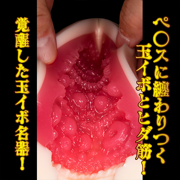 o@i[c݁j
