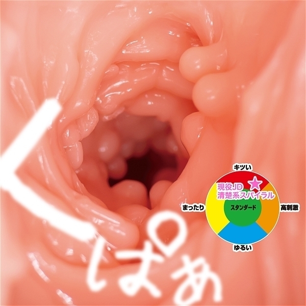 yPSSO~ʌzic@i^nXpCjllP_聄