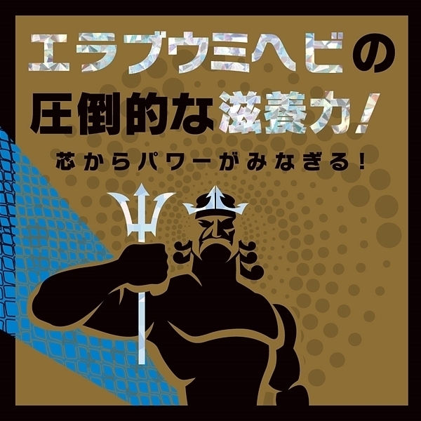 yPSWO~ʌzXgOc@Cց@i[[T񕪁jllP_聄